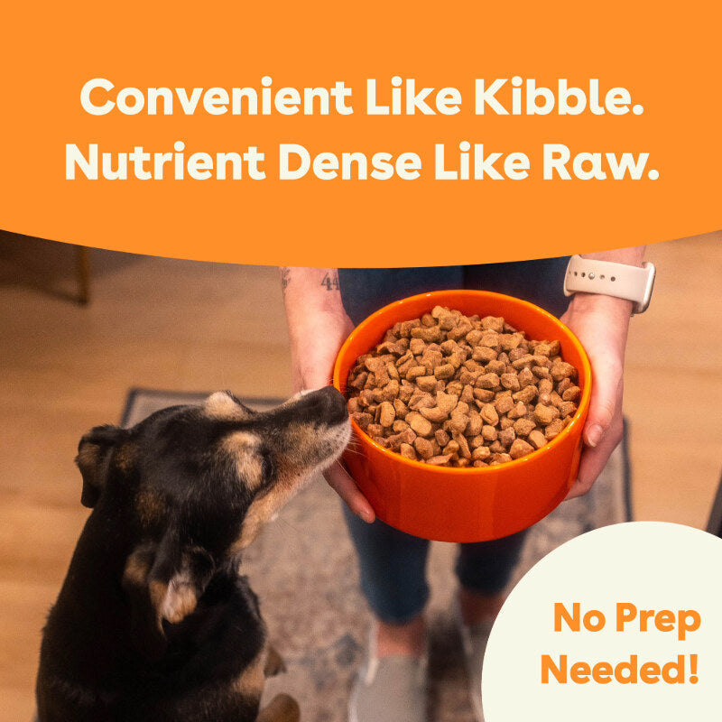 Freeze-Dried Dog Food product image 10