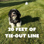 Dog Tie-Out Anchor product image 10
