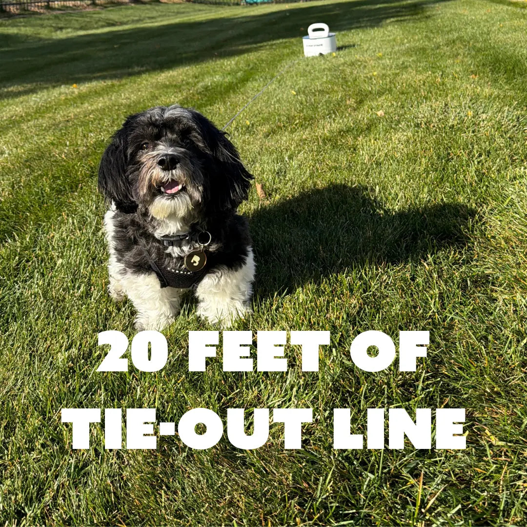 Dog Tie-Out Anchor product image 10