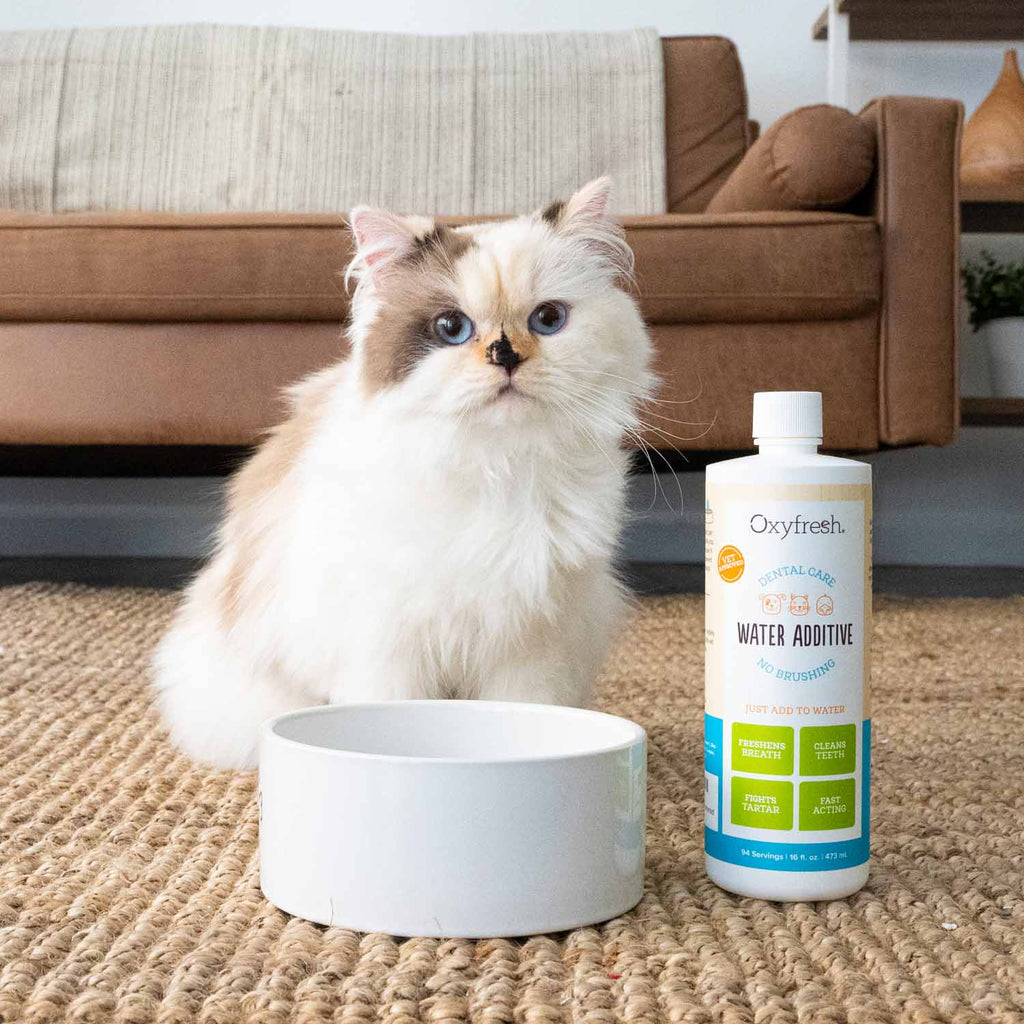 Pet Dental Water Additive product image 10