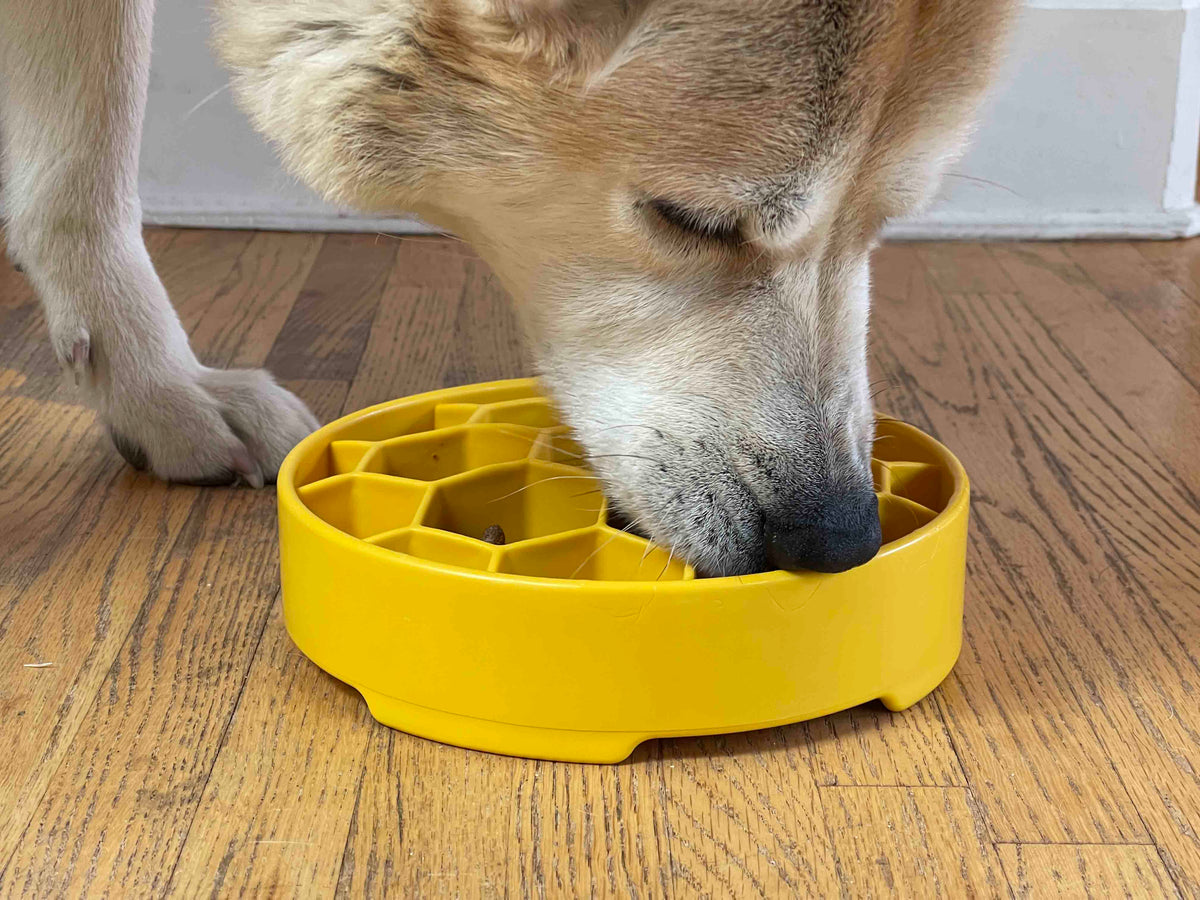 Slow Feeder Dog Bowl product image 10