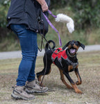 Dog Tug Toy product image 10