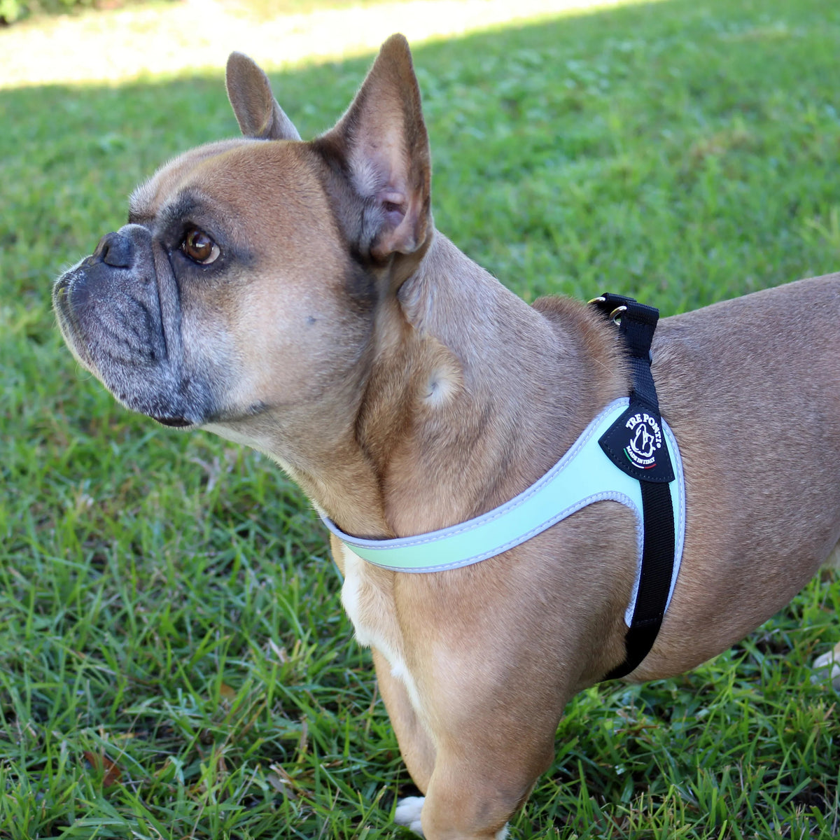 Pet Harness product image 10