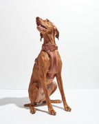 Dog Harness product image 10