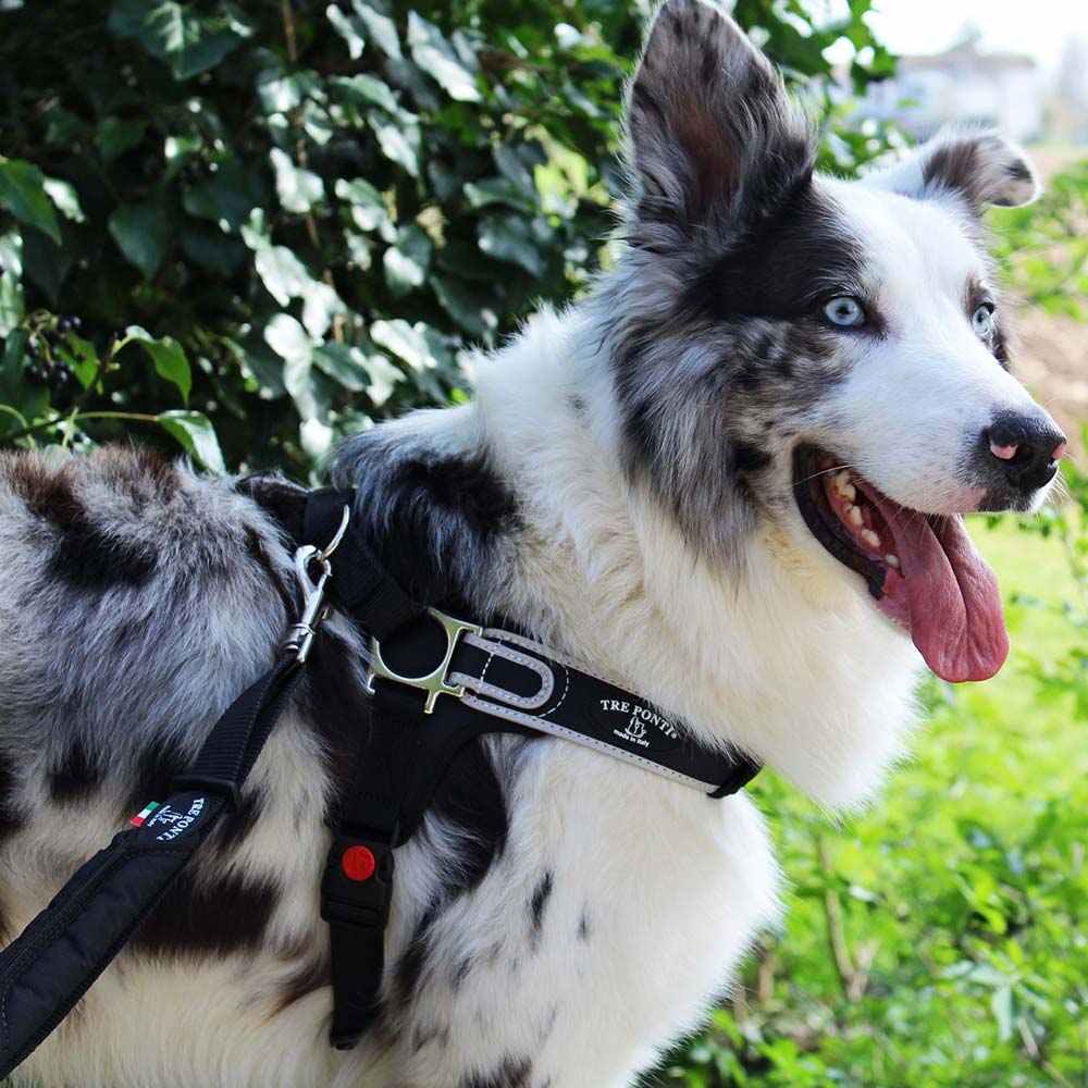 Reflective Martingale No-Pull Dog Harness product image 10