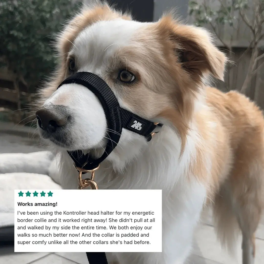 Dog Head Halter product image 10