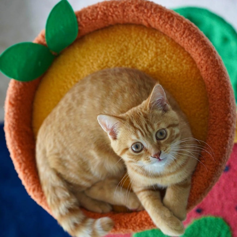 Fruit-Themed Cat Tree product image 9