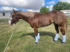 Horse Fly Boots product image 10