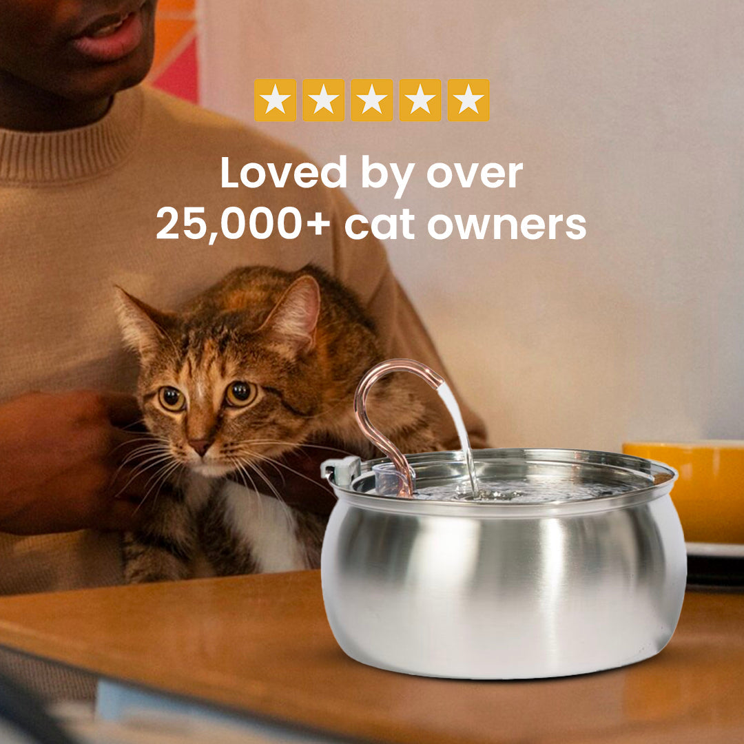 Cat Fountain Kit product image 10