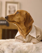 Dog Sweater product image 10