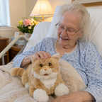 Robot Cat Companion product image 10