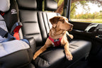 Dog Car Harness product image 10