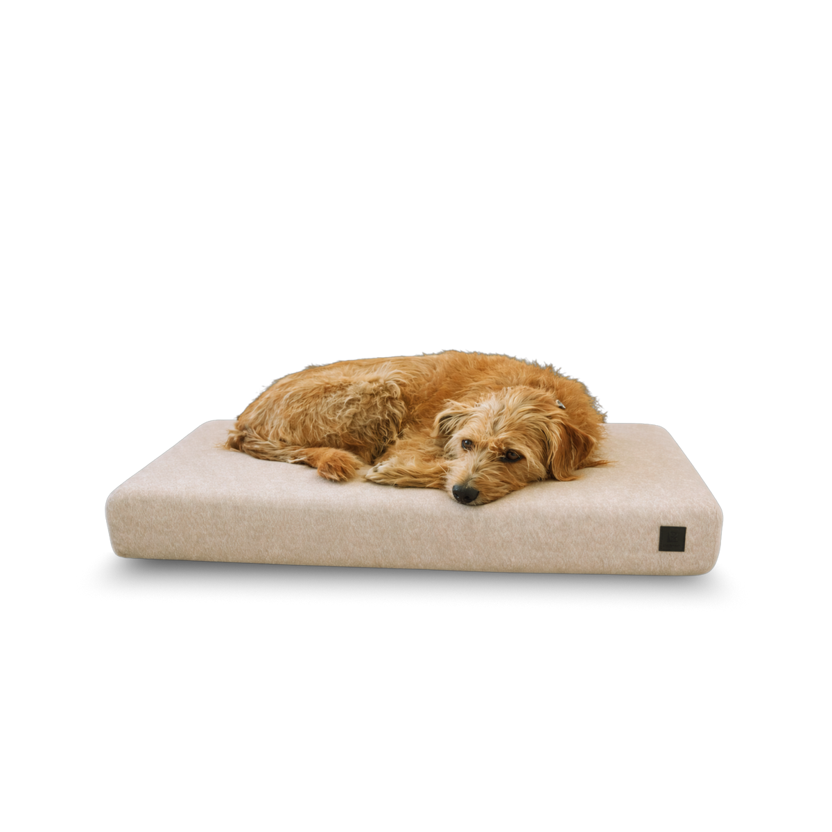 Orthopedic Dog Bed product image 10