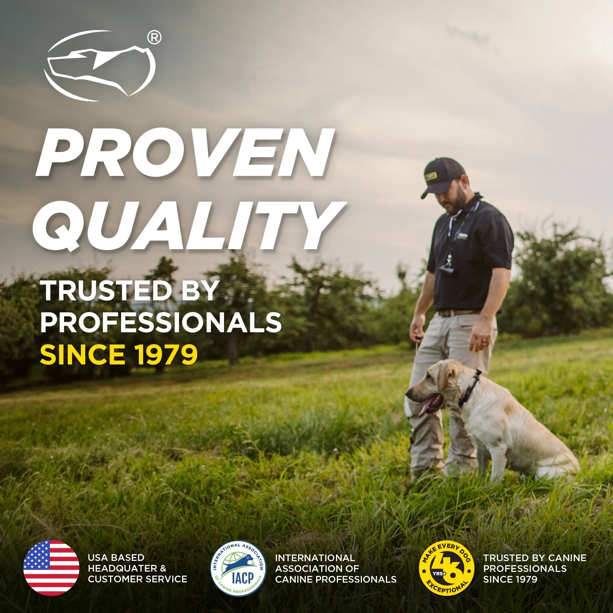 Remote Dog Training Collar product image 10