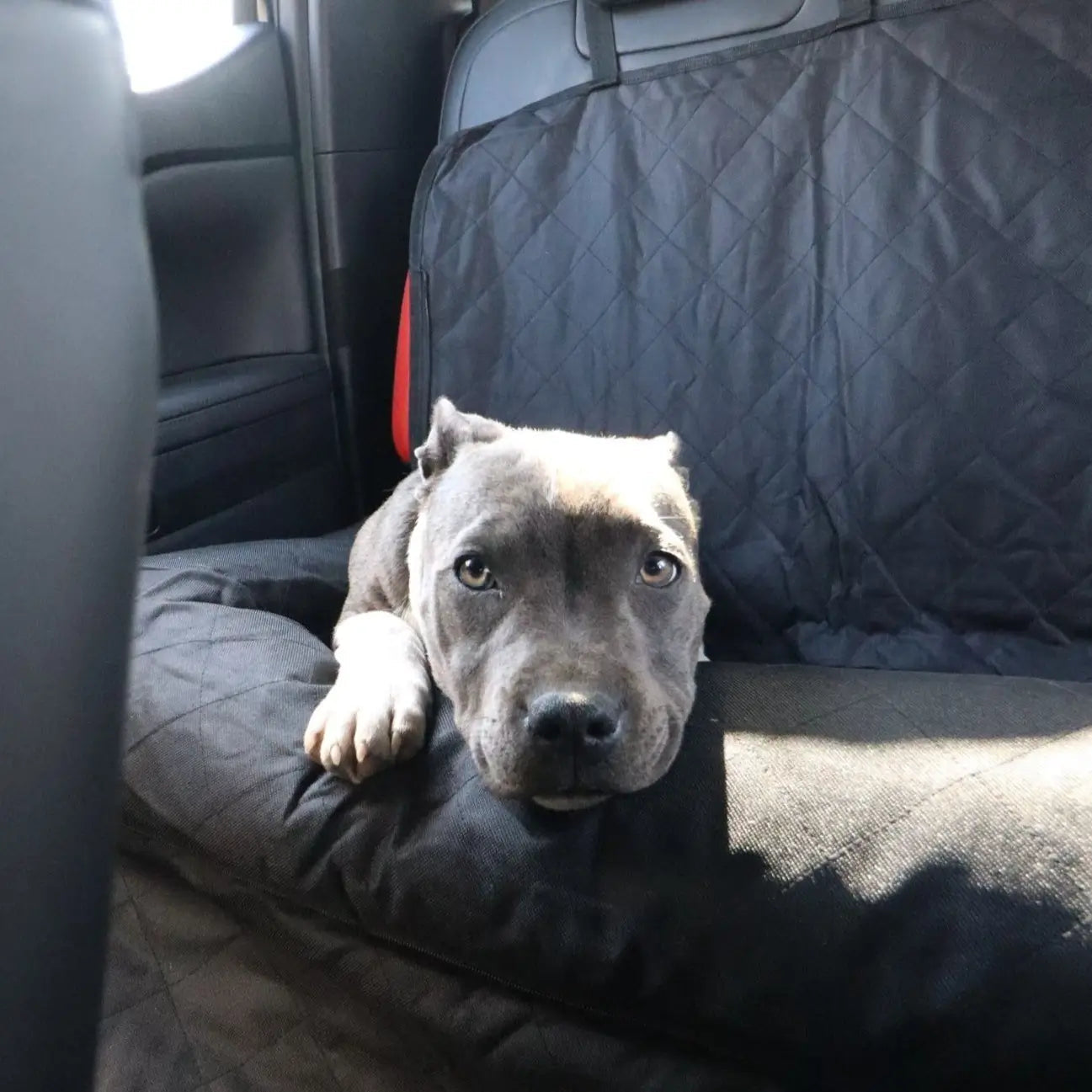 Dog Car Seat Cover product image 10