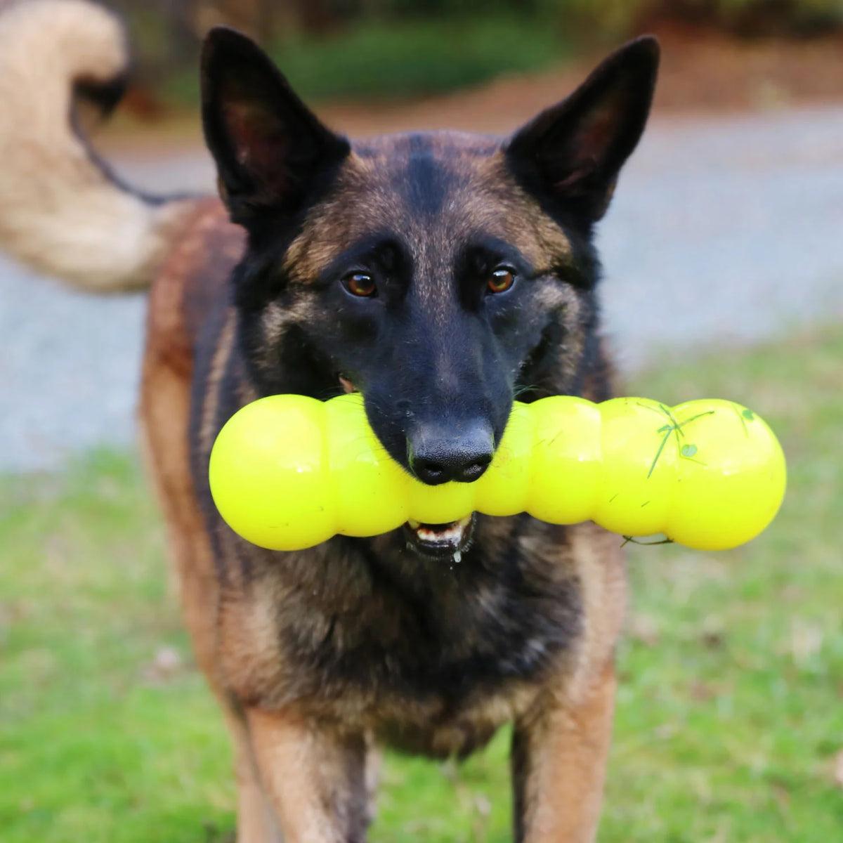 Floating Dog Chew Toy product image 10