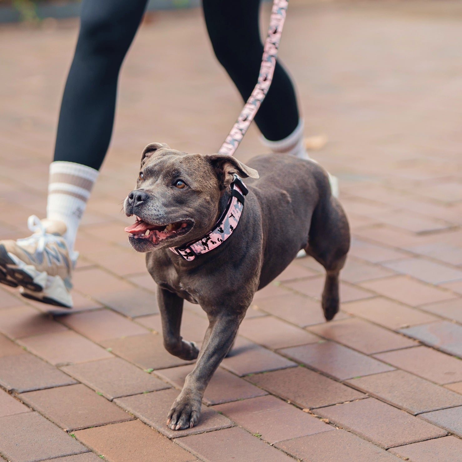 No-Pull Dog Harness and Leash Bundle product image 10