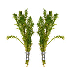 Aquatic Plants product image 10