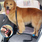 Reflective Dog Leash product image 10