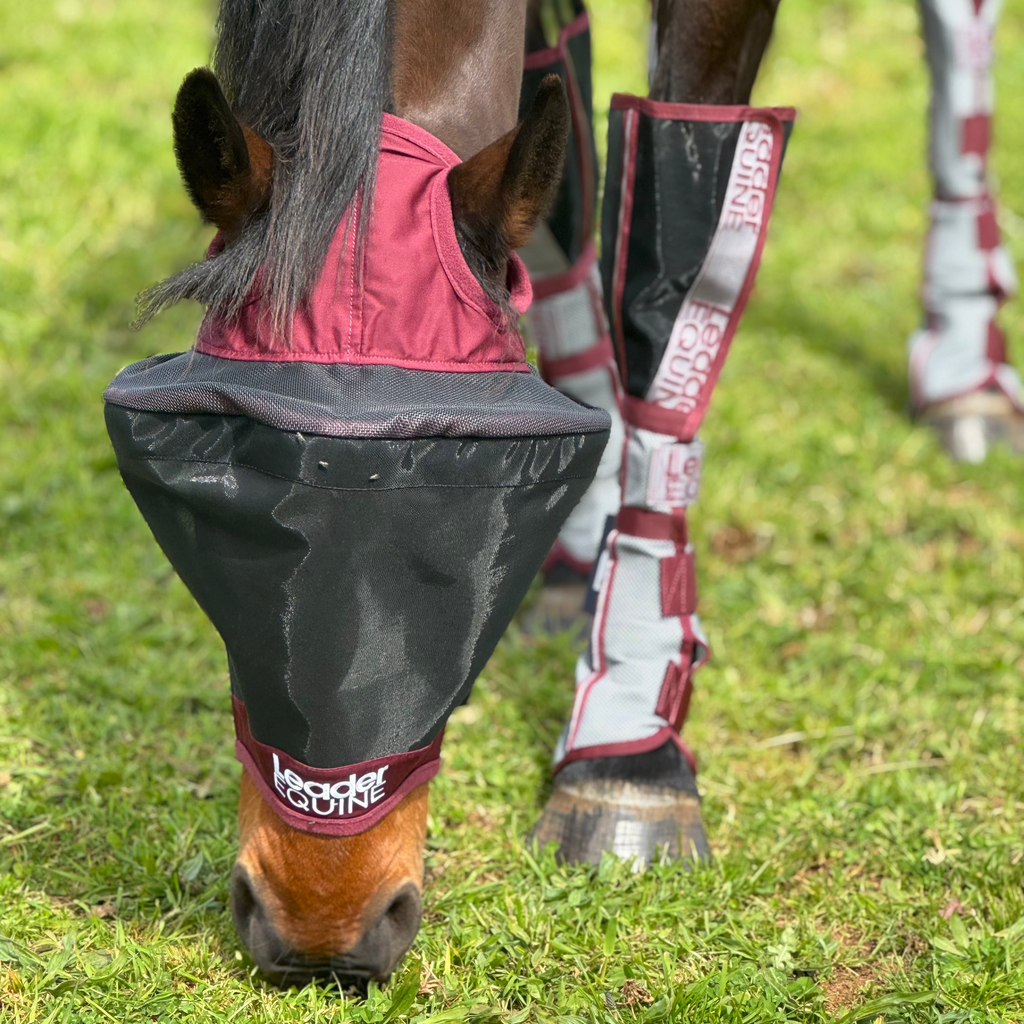 Horse Fly Mask product image 10