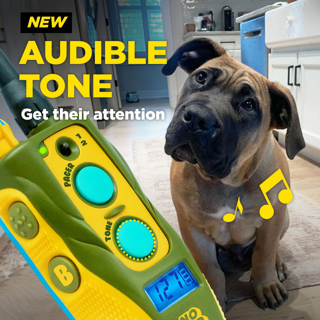 Remote Dog Training Collar product image 10