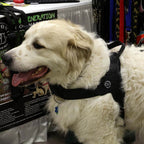Dog Harness product image 10