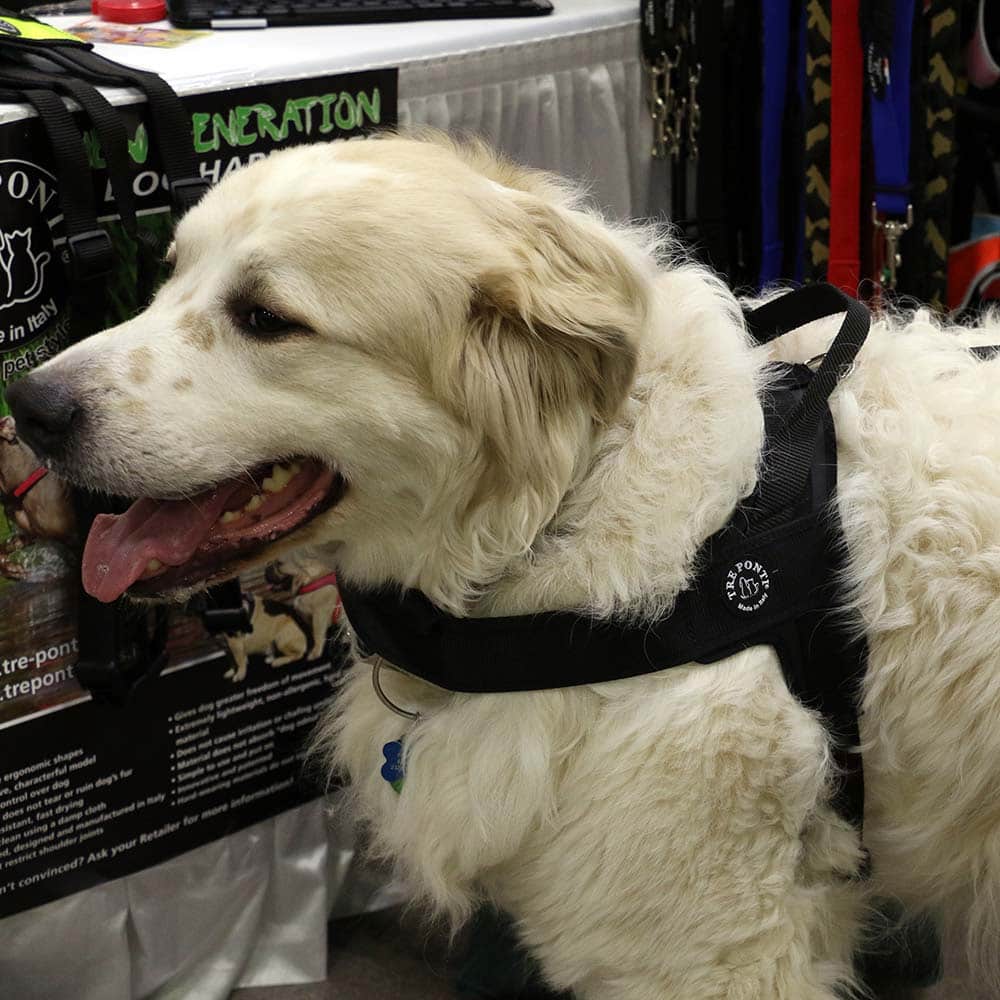Dog Harness product image 10