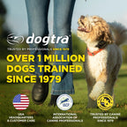 No-Bark Dog Collar product image 10