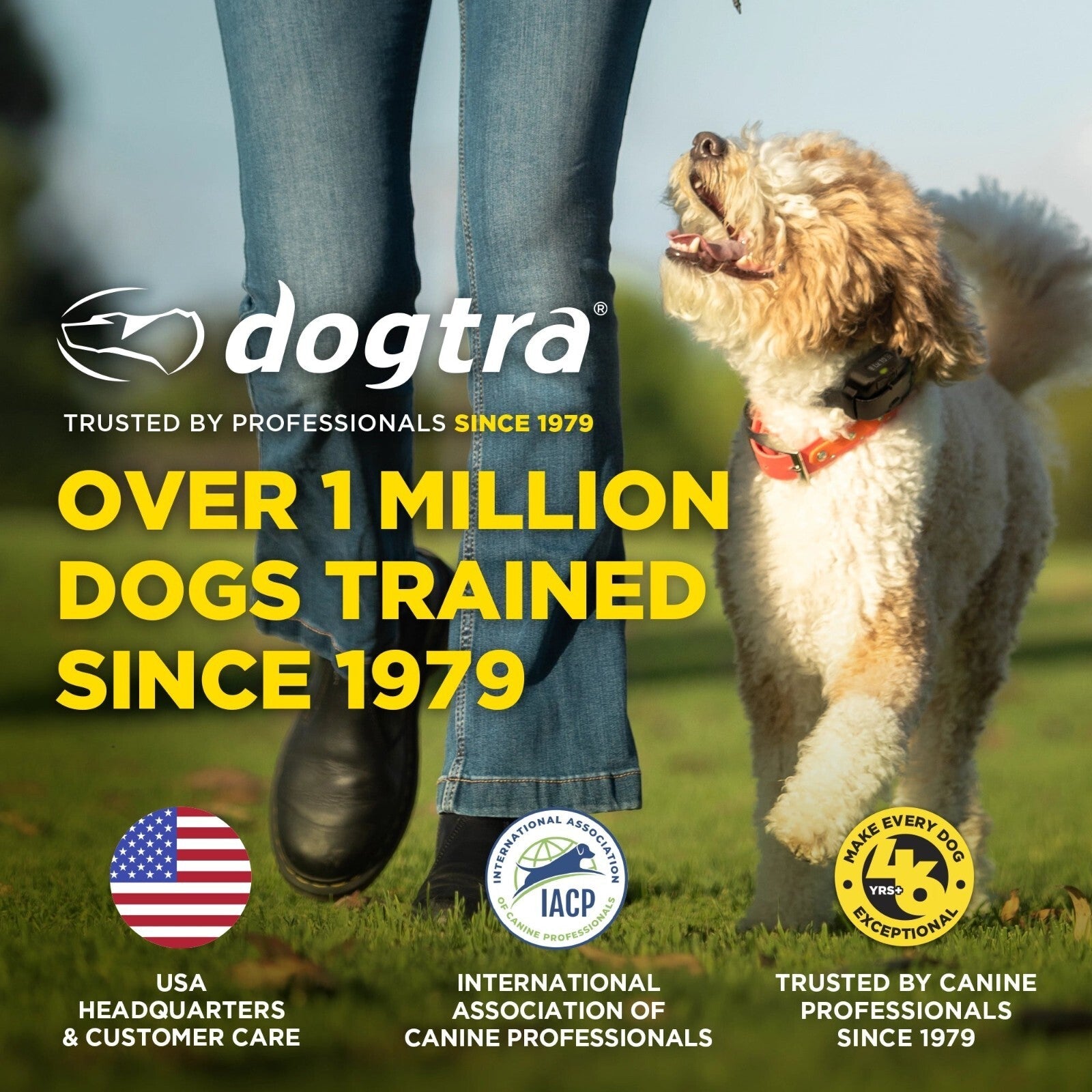 No-Bark Dog Collar product image 10
