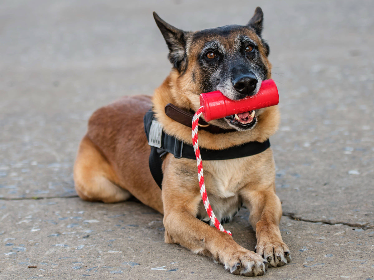 Dog Training Dummy product image 10