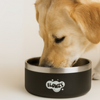Dog Feeding Station product image 10