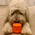 Rubber Dog Toy product image 10