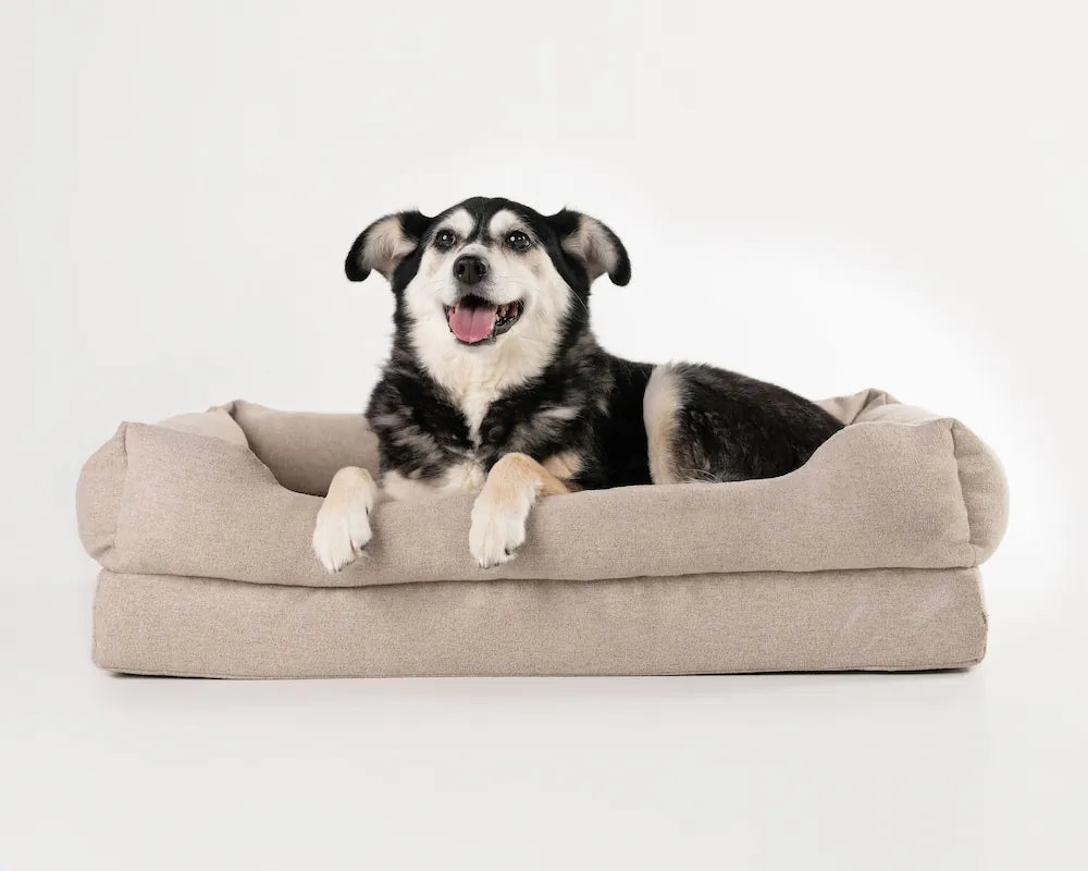 Orthopedic Dog Bed product image 10