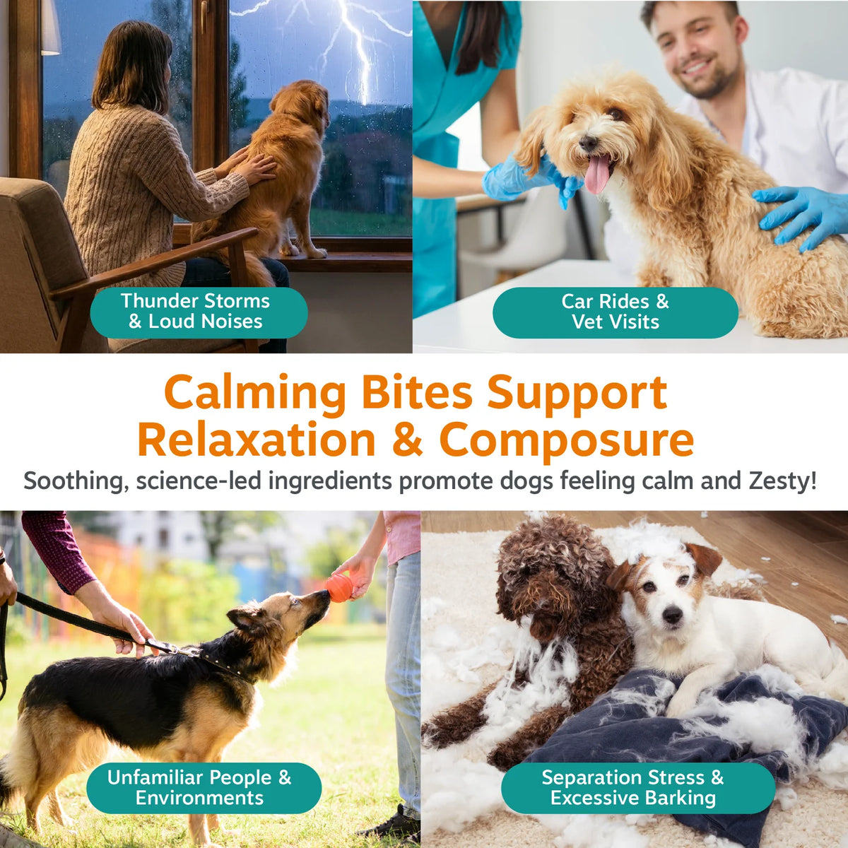Pet Supplements product image 10