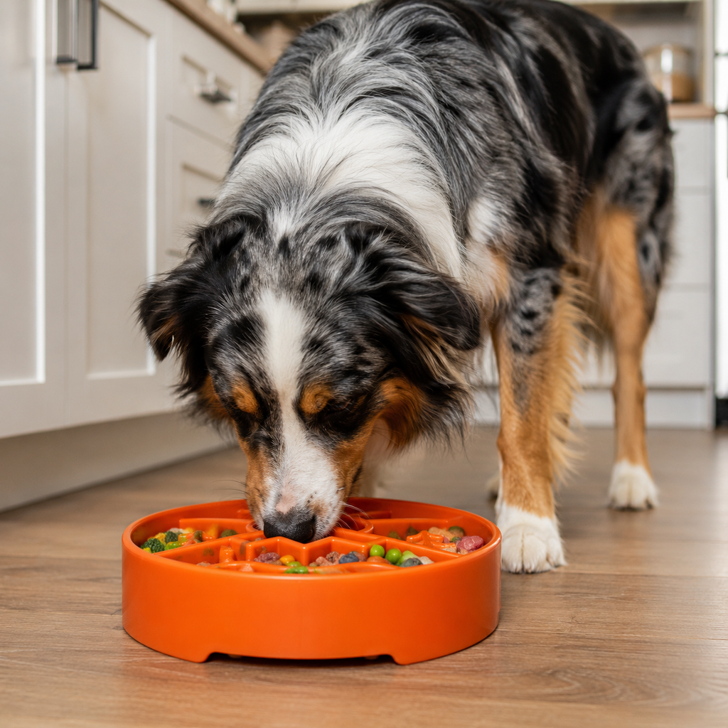 Slow Feeder Dog Bowl product image 10