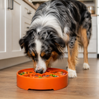 Slow Feeder Dog Bowl product image 10