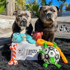 Soccer Ball Dog Toy with Tug Handles product image 10