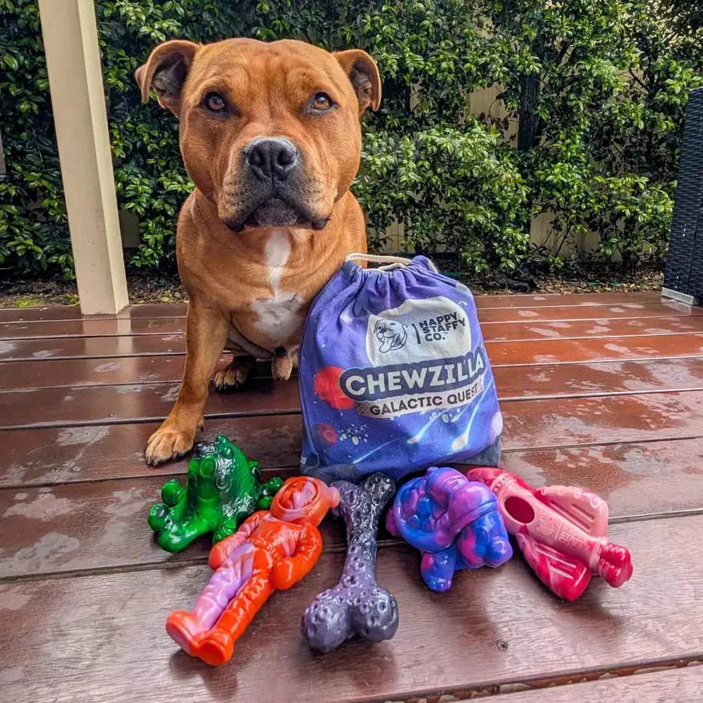 Dog Chew Toy Collection product image 10