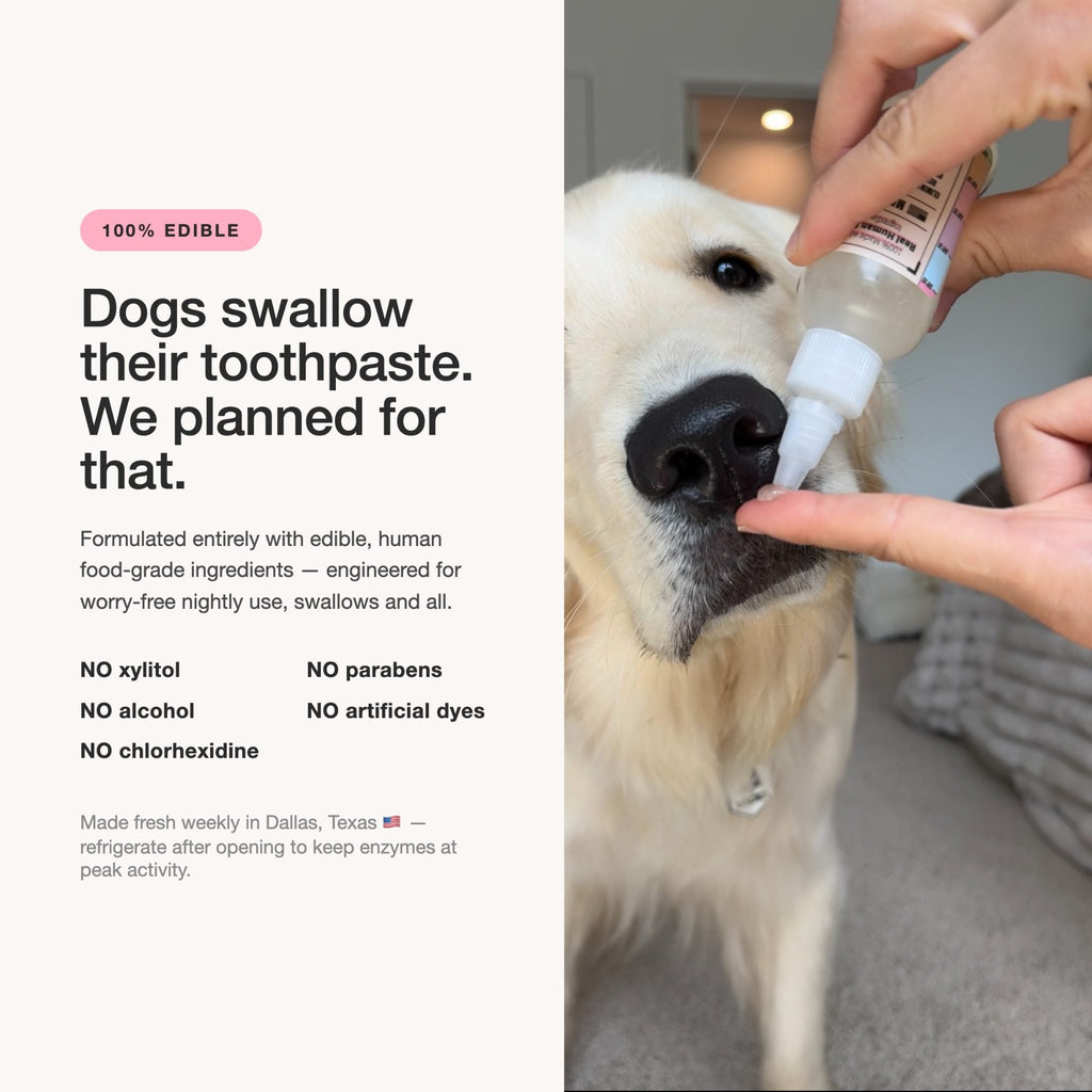 Dog Dental Gel product image 10