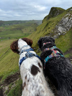 Dog Harness product image 10