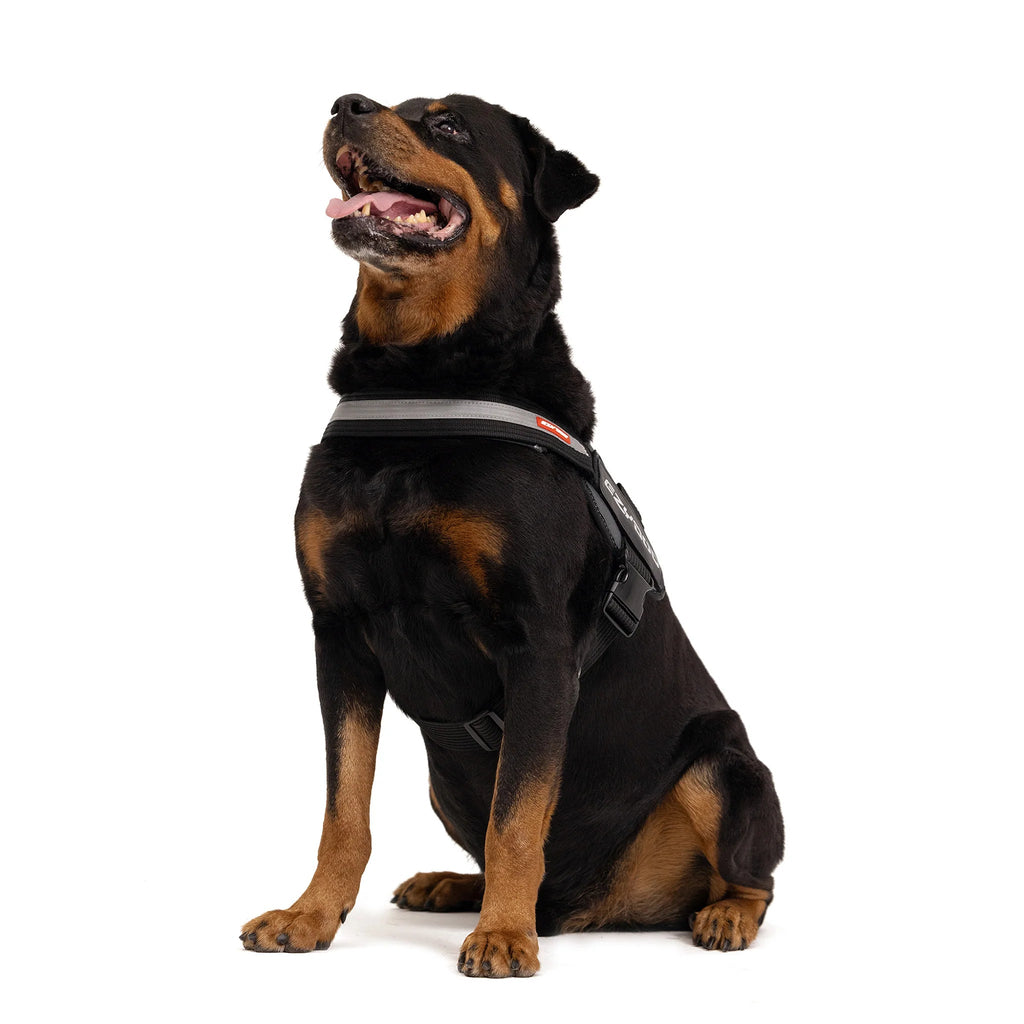 Dog Harness product image 10