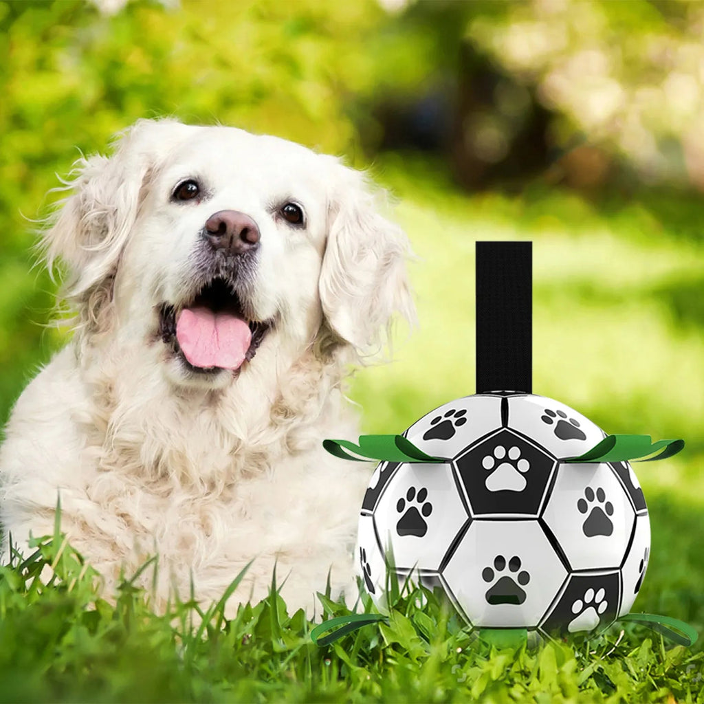 Dog Soccer Ball product image 10