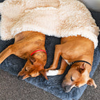Memory Foam Dog Bed product image 10