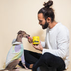Dog Allergy and Itch Soft Chews product image 13
