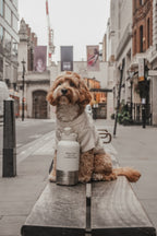 3-in-1 Dog Travel Water Bottle with 32 oz Reservoir and Two Detachable Bowls in Three Colors source image 11