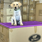 Waterproof Dog Kennel Mat, 28 x 18 Inch Shock-Absorbing Pad in Seven Colors for Crates and Sporting Travel source image 11