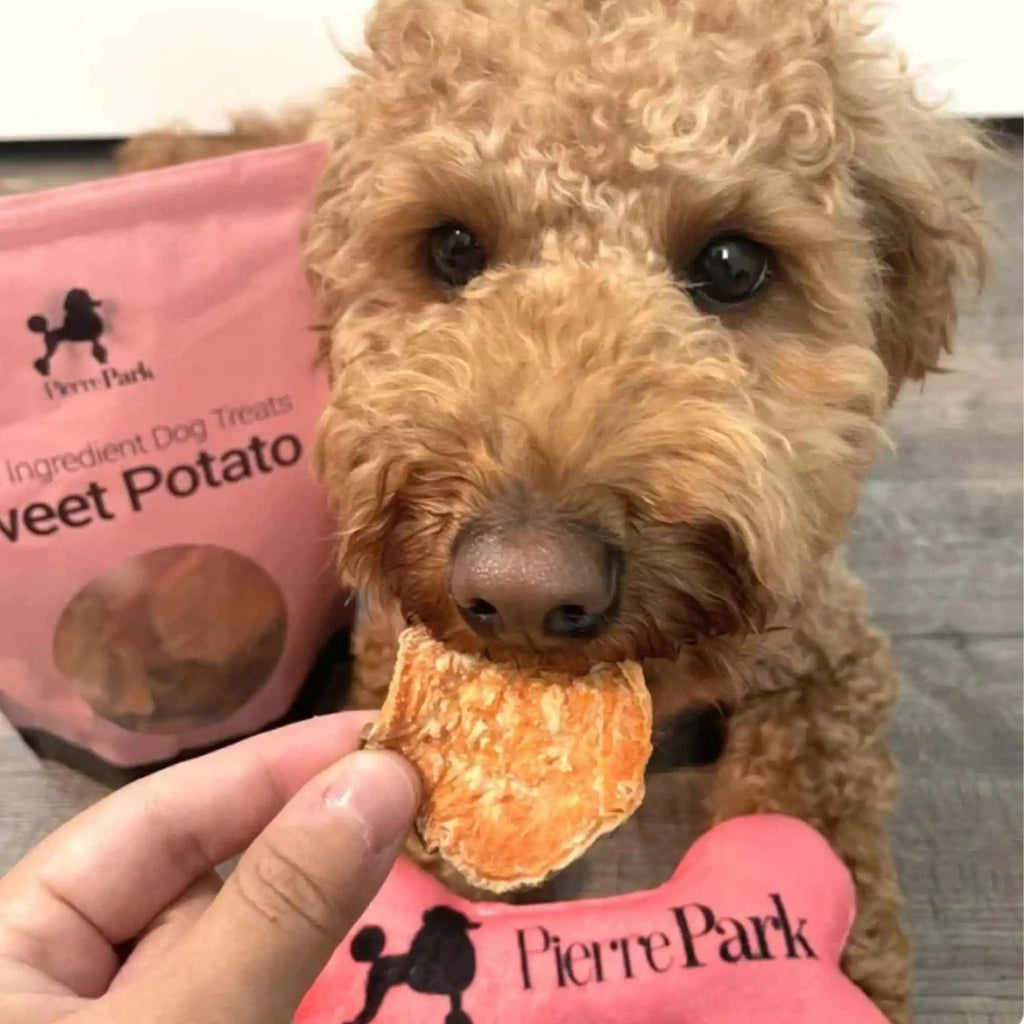 Single-Ingredient Sweet Potato Dog Treats, USA-Made Low-Fat Chews in One, Two or Three Bag Packs source image 11