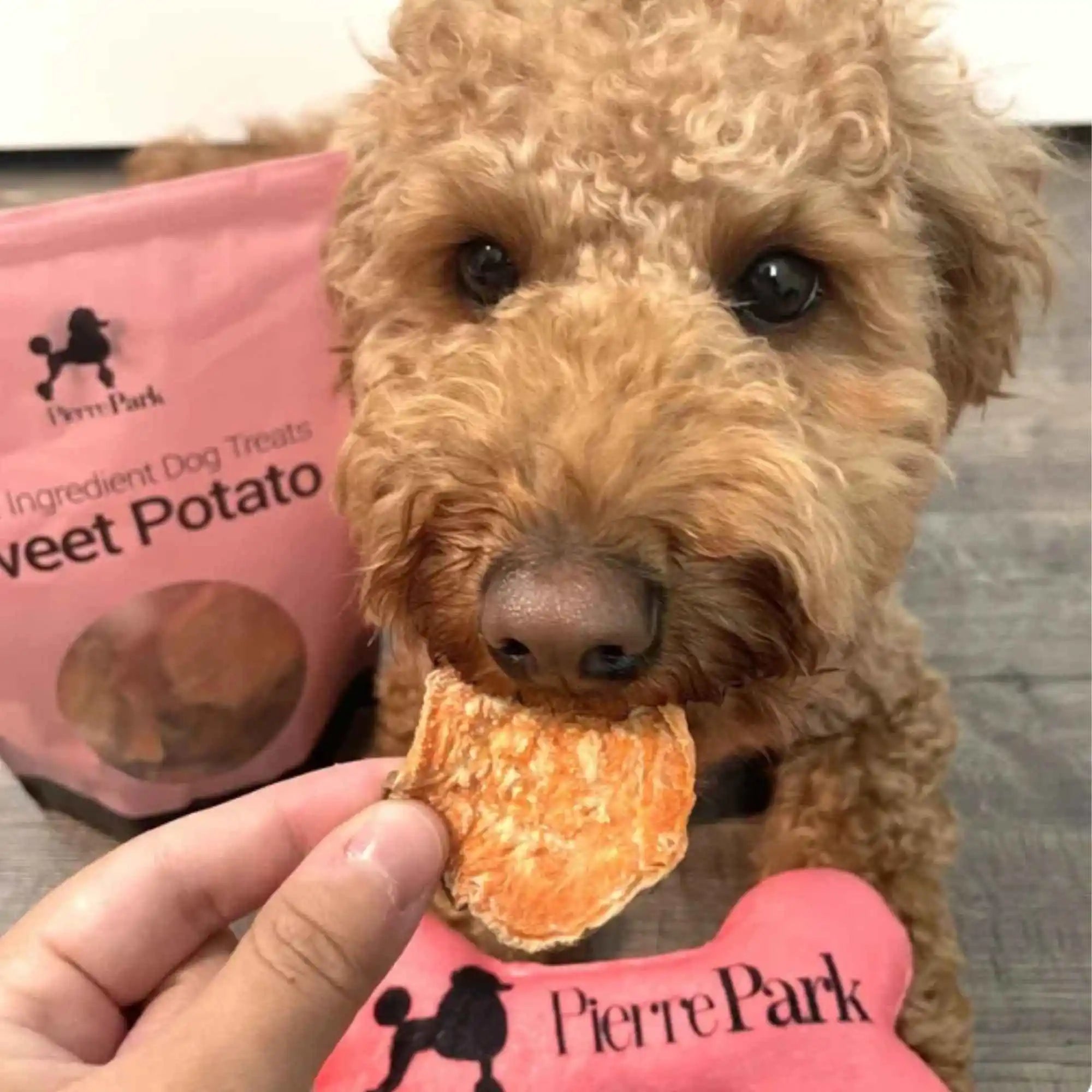 Single-Ingredient Sweet Potato Dog Treats, USA-Made Low-Fat Chews in One, Two or Three Bag Packs source image 11