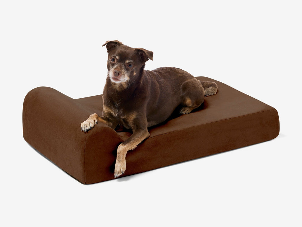 Orthopedic Dog Bed for Small and Medium Dogs, 4-Inch Layered Foam in Headrest and Sofa Styles source image 11