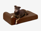 Orthopedic Dog Bed for Small and Medium Dogs, 4-Inch Layered Foam in Headrest and Sofa Styles source image 11
